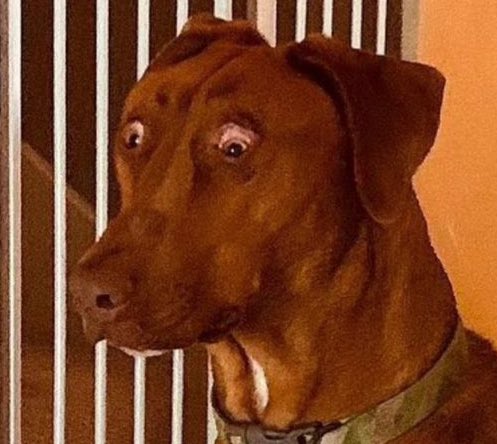 Koefficient on Twitter: