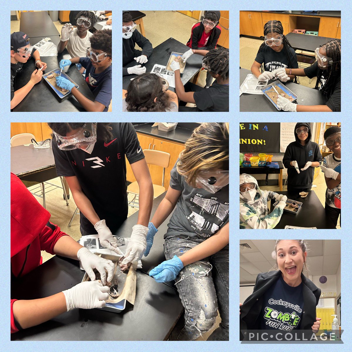 Cow eye dissection day! Lots of squeals and wow-moments! <a href="/CockeysvilleMS/">Cockeysville Middle</a>