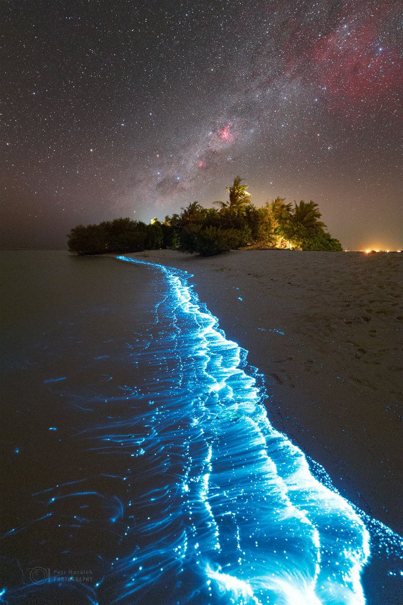 AstronomyFr's tweet photo. Voie lactée au-dessus d’une merveilleuse île 

📍Bahia https://t.co/O0DFSNx483