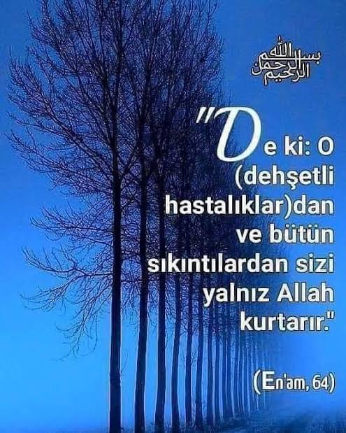 Return to Allah (@return_to__) on Twitter photo 