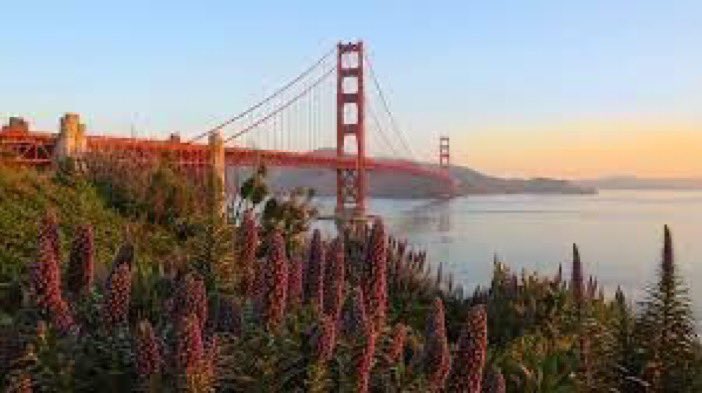 Why San Francisco is splashing a whole lot of cash. #travel #tourism #US #travelbusiness @VisitUSA_ gourmetontheroad.com/2023/06/san-fr…