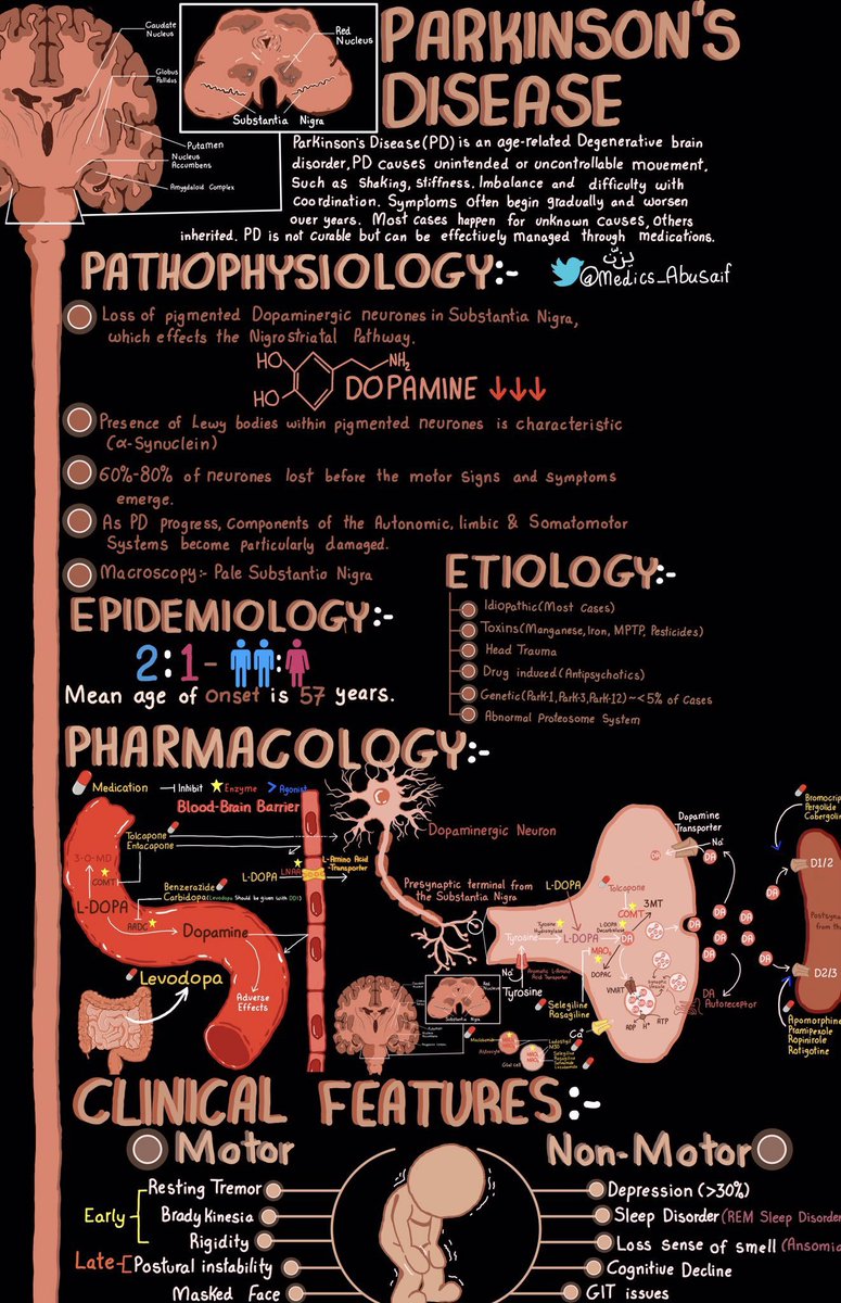 Parkinson's disease overview by @medics_AbuSaif

#MedTwitter