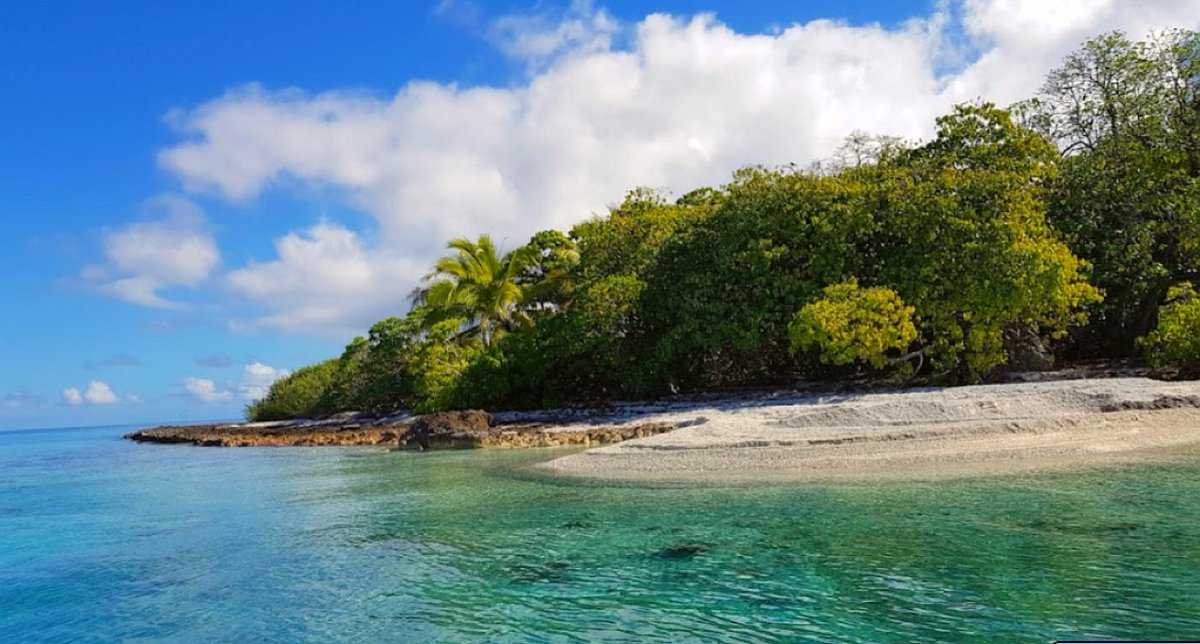 #Tropical #Vibes #enjoy the #goodlife Atoll Rangiroa😎 #sailing #saltlife #pacific #french #polynesia #Tuamotu Archipelago #Rangiroa #Atoll #photography Blog: sea-nomads.blogspot.com