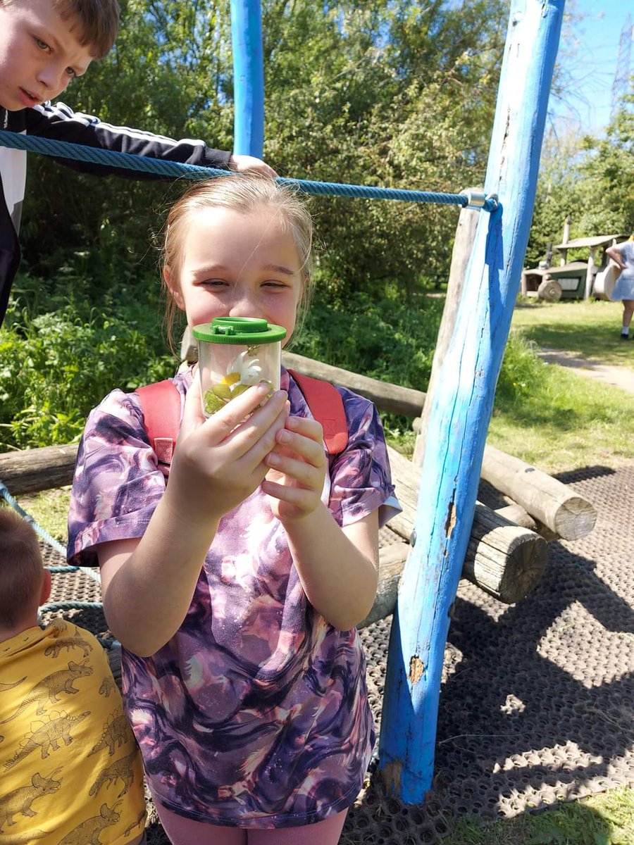 Lee80Victoria's tweet photo. Sophia exploring Old Moor Nature Reserve (with Grandma, Grandad, cousin Harry, and her little brother Joey).  Bug hunting, bird watching, nature walking and lots of exploring!  #30DaysWild @OPA_KHG @OPAK_4AL https://t.co/E5xm5tlKU2