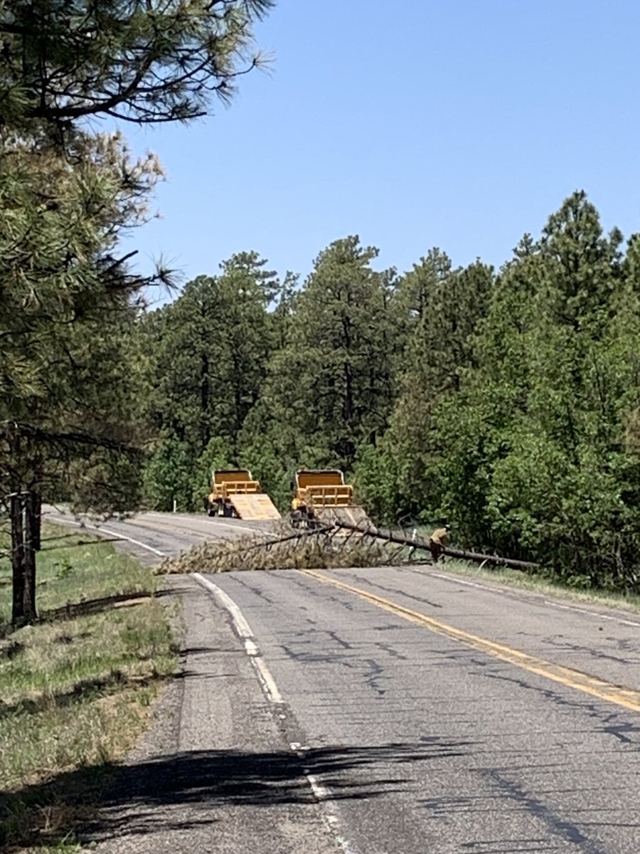 CoconinoNF's tweet image. Expect delays on HWY 260 as crews working the #WilburFire on our Mogollon Rim Ranger District fell hazard trees. @ArizonaDOT