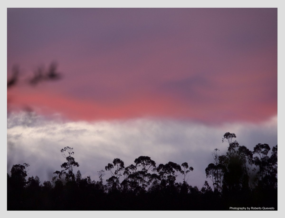 ¿Qué puede hacer uno cuando la Naturaleza te regala una fotografía así? Si aún ves lo sagrado que tiene este planeta, es que todavía nos queda una oportunidad...