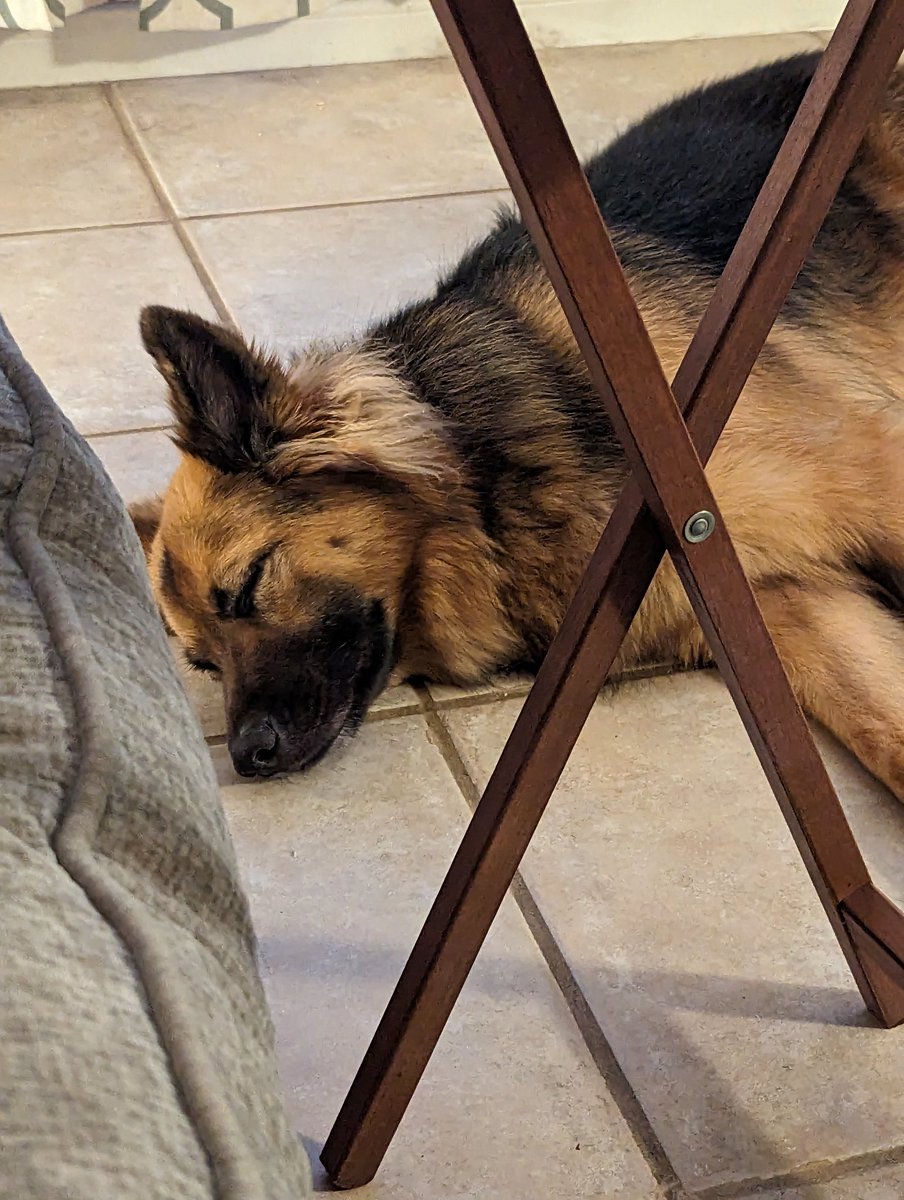 This is still me today. We gonna push stream to Wednesday/Thursday this week with #TearsOfTheKingdom! (I haven't even plugged my PC back in yet. 🤣)