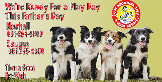 This Father’s Day... Then a Good Pet Wash at U-Wash Doggie with two Locations to serve in Santa Clarita. It's to easy to DIY your pets when you use our tubs, get them in and out without fuss and back pain. #bestgroominginSantaClarita #PetGrooming

uwashdoggie.com/ready-for-a-pl…