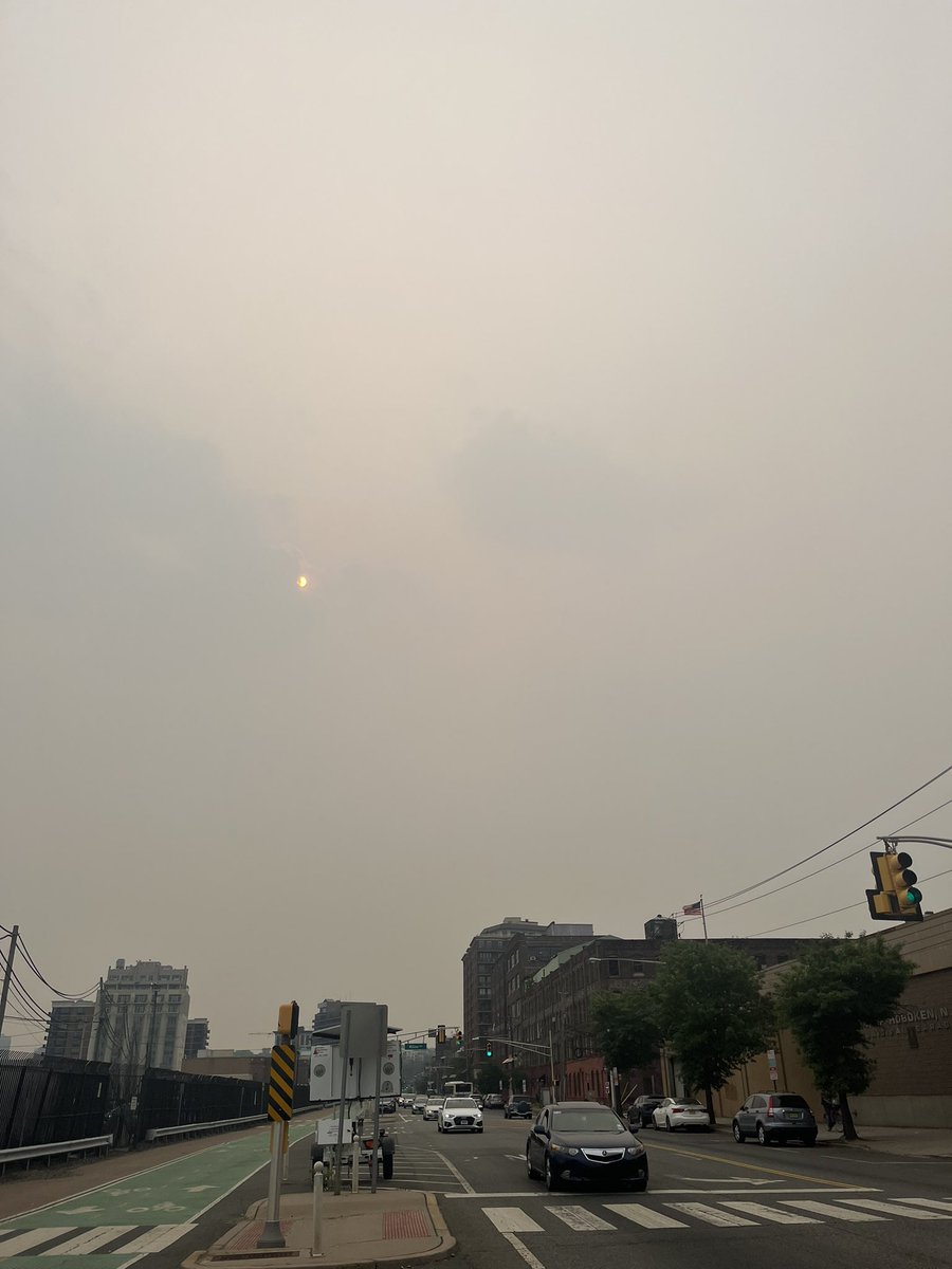 Eleana Little for Jersey City tweet media