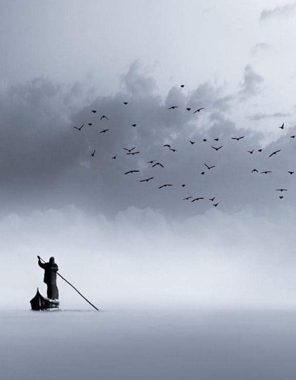 بَلاغَة tweet media