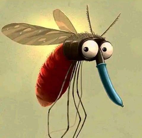 Sunflower tweet media