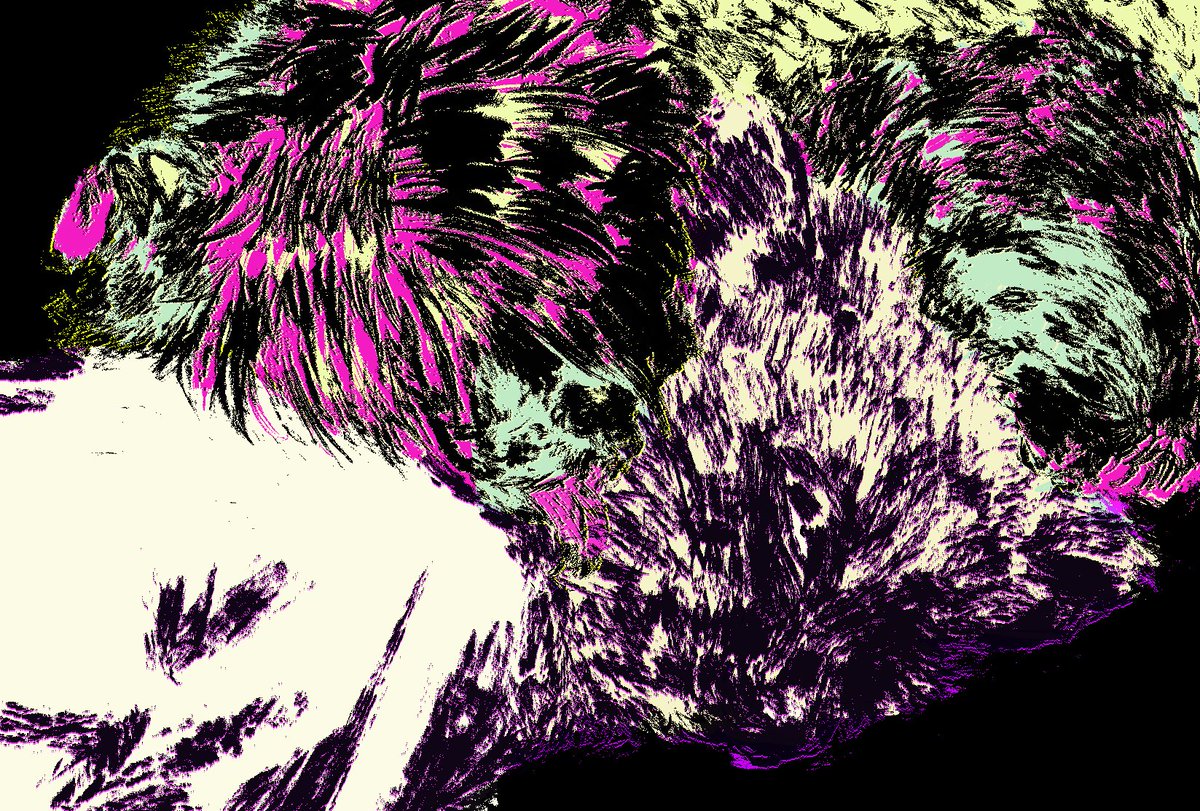 strange yet wonderful