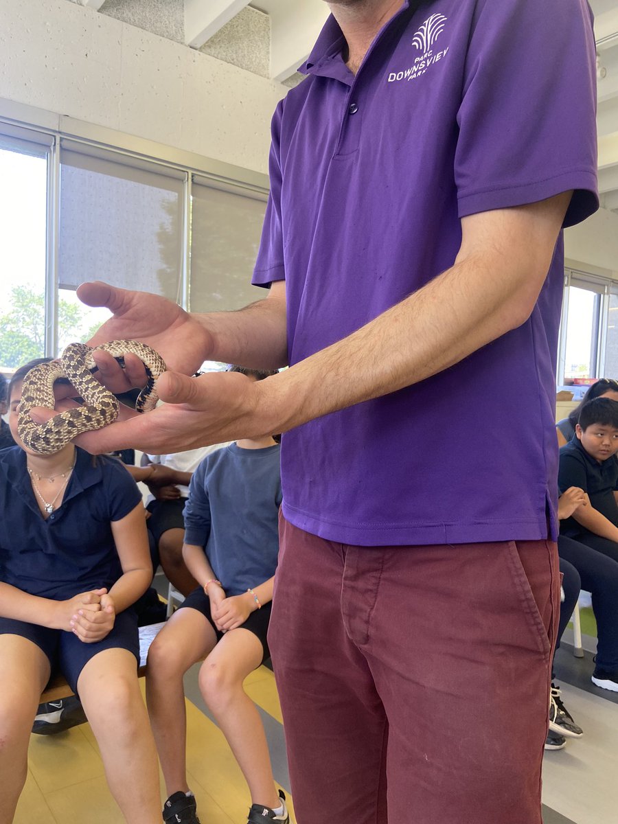 MsSansone1's tweet photo. What a beautiful day of outdoor learning for our Grade 4 students 🌸🌈🦋☀️🌻🐍🐝🌿☁️🐞The students had a blast furthing their knowledge and getting closer to nature @StBernardsTCDSB https://t.co/9yS49GoKtN