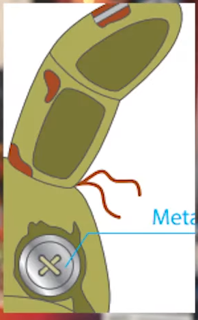 JonnyBlox's tweet photo. Dawko reveals new Hex info in a recent video!

1. Limited edition sitting Golden Bonnie plush is releasing soon with a special card and bag.
2. New photos of Mangle prototype with bendable limbs. A support stand is set to be included for displays.
3. New photos of Withereds prototypes.
4. Video featuring Puppet's glow-in-the-dark gimmick is shown.
5. Springtrap's design is teased, with his full design looking "awesome" (I can confirm🤫).
6. Hopes to do sitting plushies of Fredbear & Spring Bonnie in the future.
7. Hopes to do plush keychains of FNaF 1 in the future.
8. Hopes to do more stylish hoodies, namedropping desires for a Shadow Bonnie hoodie.

#fnaf #fivenightsatfreddys