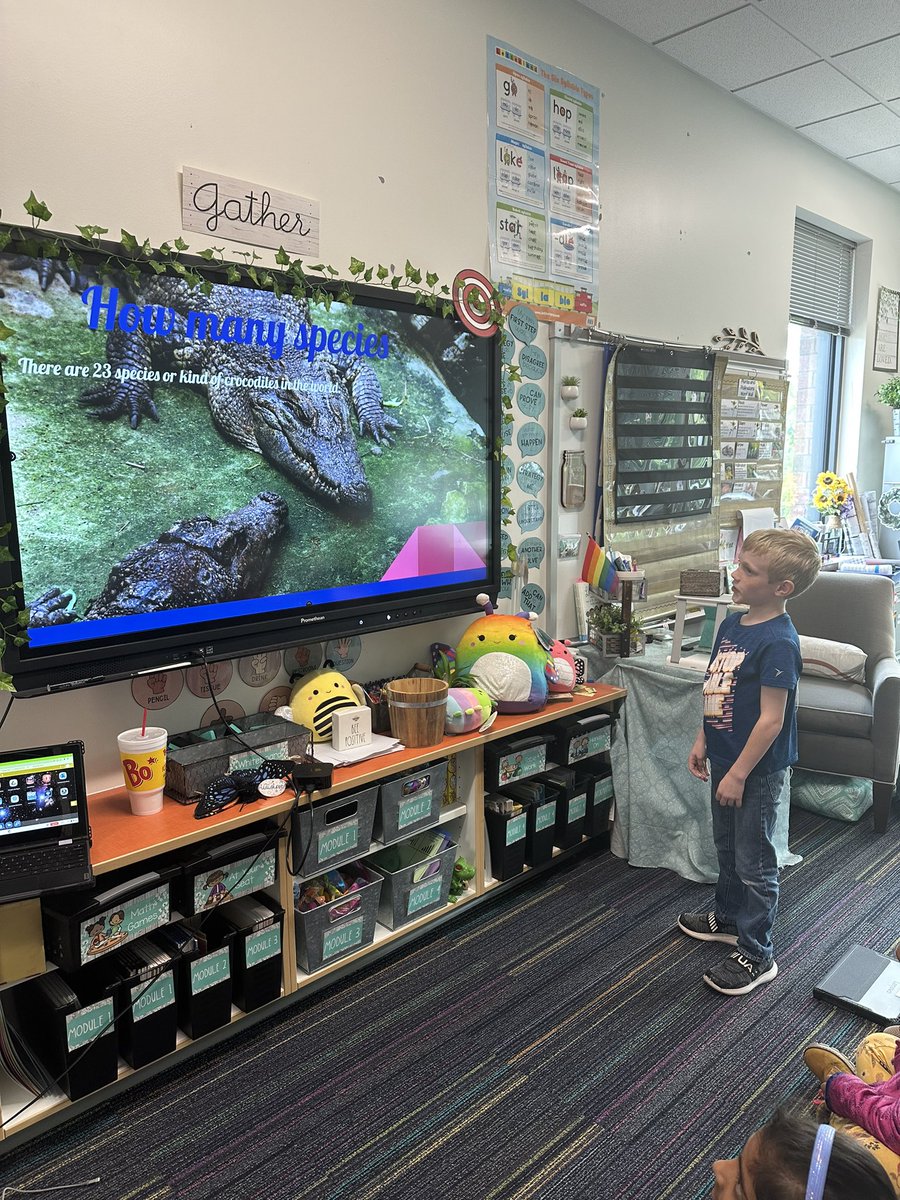 Ms. Gizzi tweet media