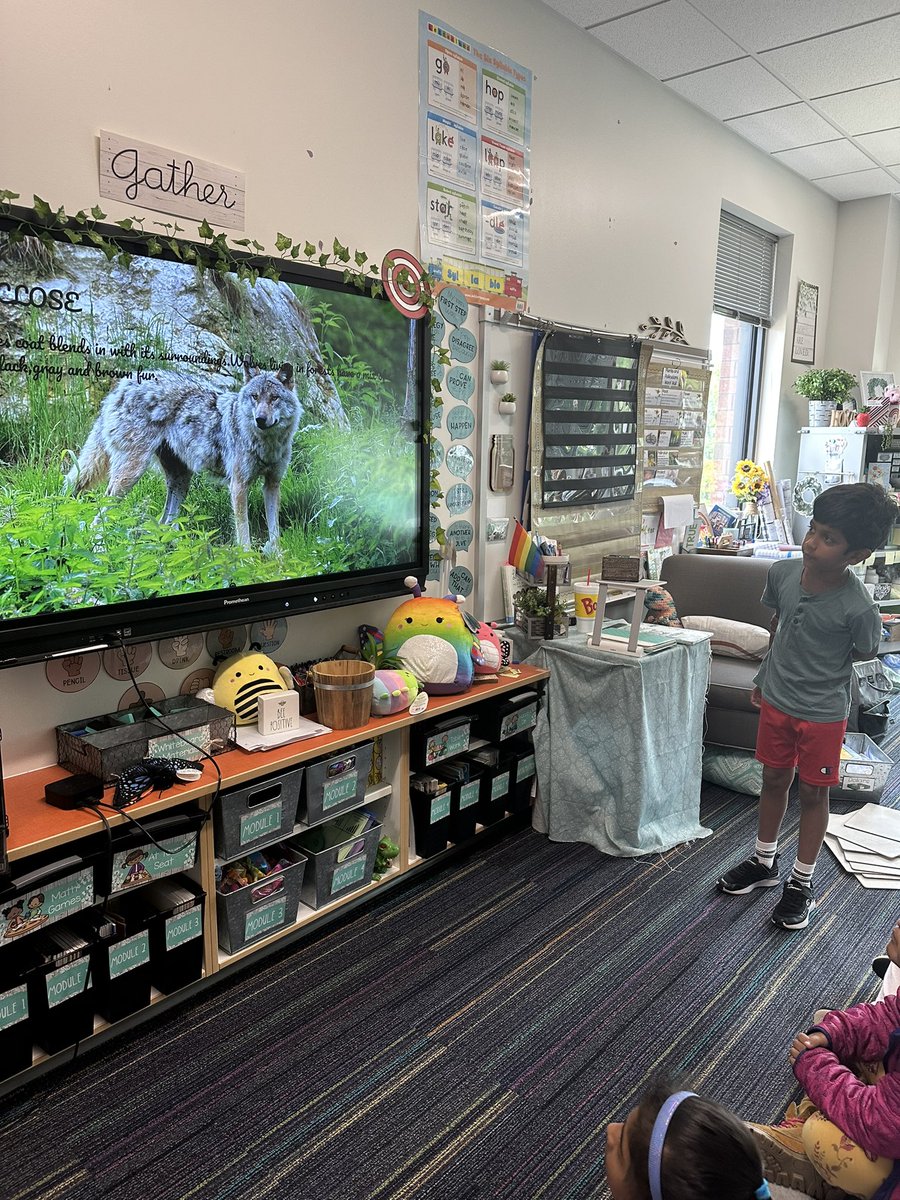 Ms. Gizzi tweet media