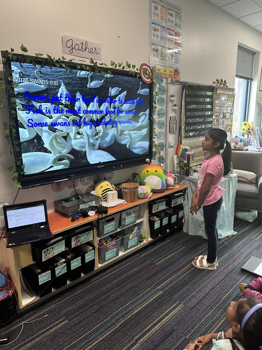 Ms. Gizzi tweet media