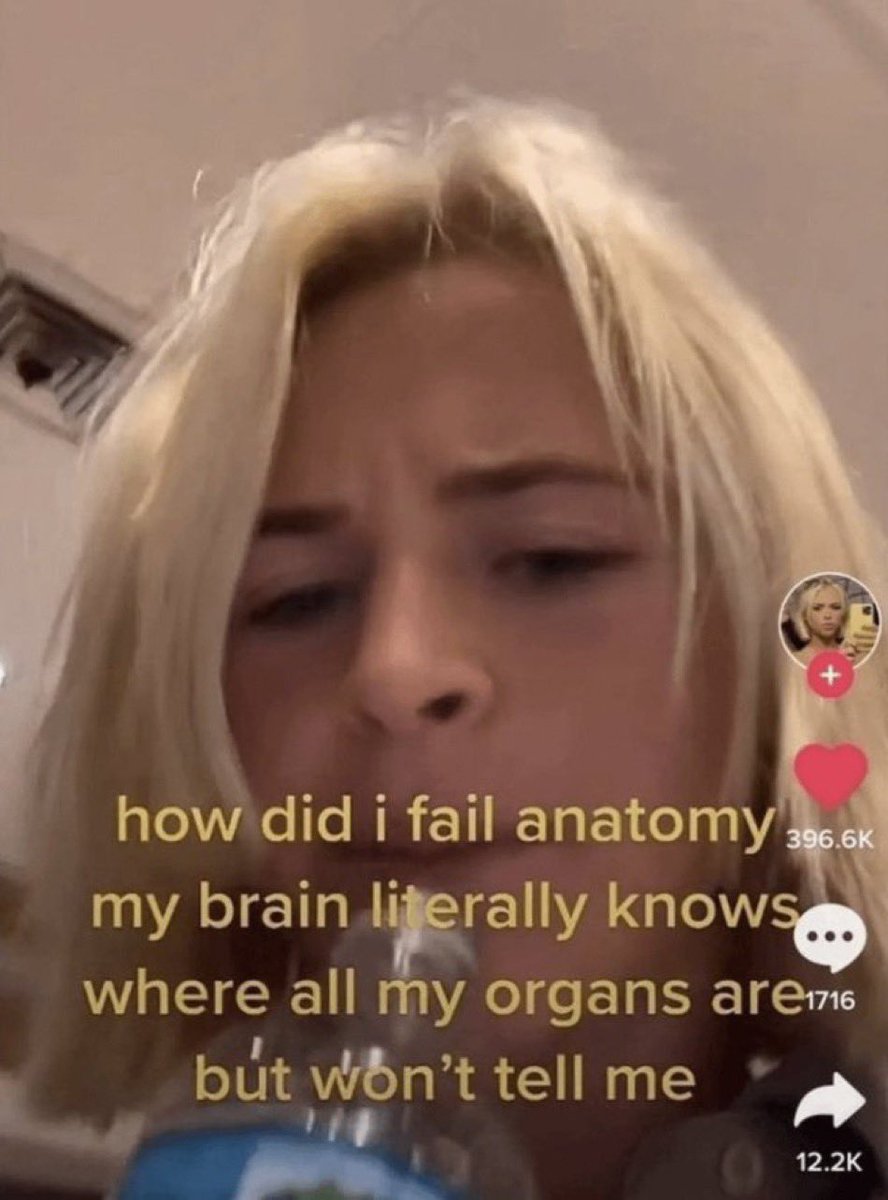 Wild TikToks (@wildtiktokss) on Twitter photo 