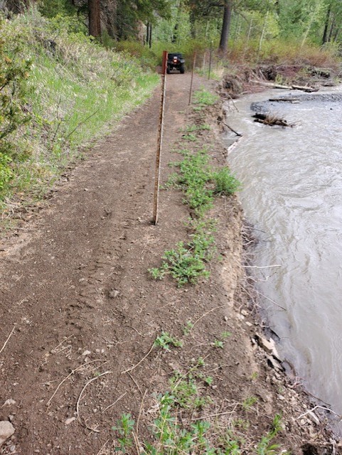 Shoshone National Forest tweet media