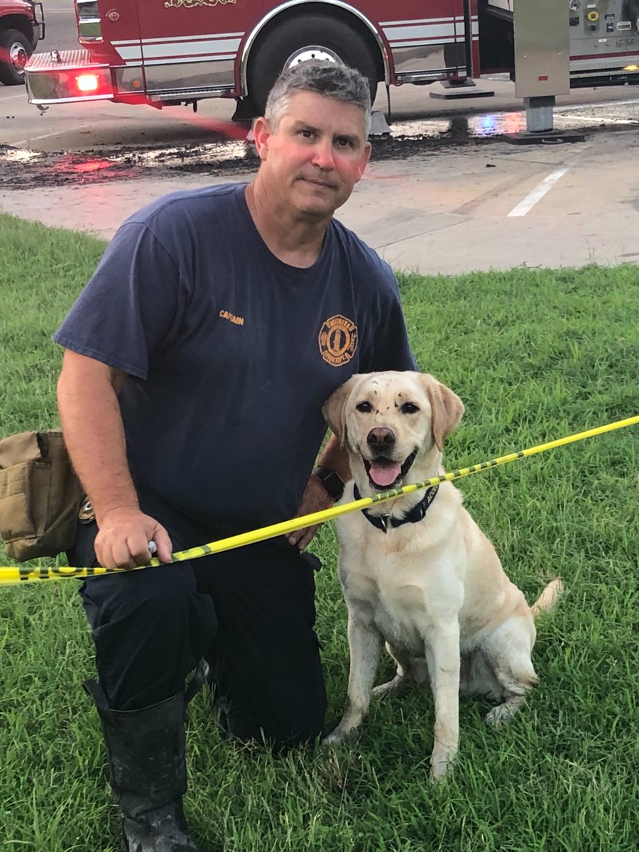 WichitaFireDept's tweet photo. Buddy, WFD's ATF Accelerant Detection Canine retired today after 8.5 years, and he is also celebrating his 10th birthday! Buddy joined the WFD when he was just 18 months old.  He was WFD's first yellow lab, and first male canine.  #wichitaFD #ICTbravest https://t.co/XKucOEB71S