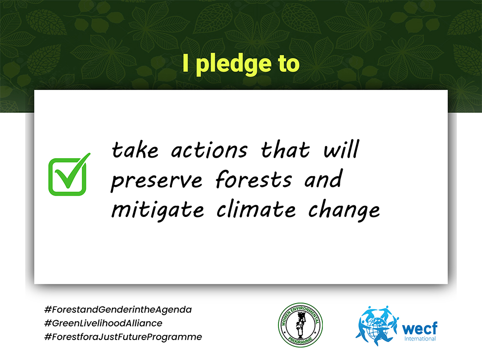 OlumideIDOWU's tweet photo. I pledge to take actions that will preserve forests and mitigate climate change. #Forestandgenderintheagenda #GenderJustice #GLA2 #WomenForForests @WEP_Nigeria @officialABAT @OfficialAPCNg @WECF_INT @KashimSM @NCCCNigeria https://t.co/cX9xhV4GWa