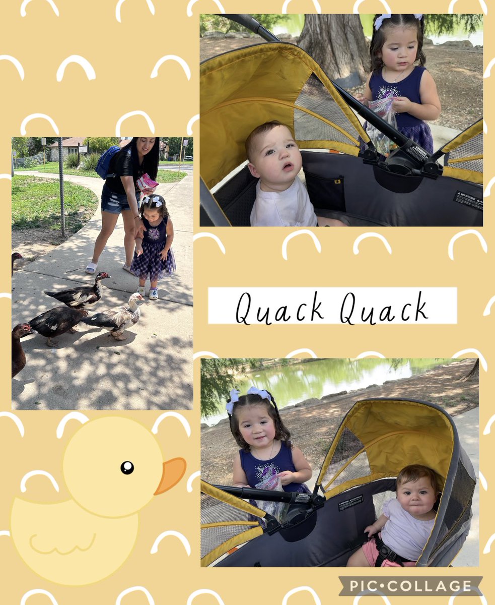 amandareardon_'s tweet photo. D is for Duck! We had to show these babies some live ducks. Their cousin Lily even joined along! 🦆
#ABCsOfSummer https://t.co/N3tzlRzGVh
