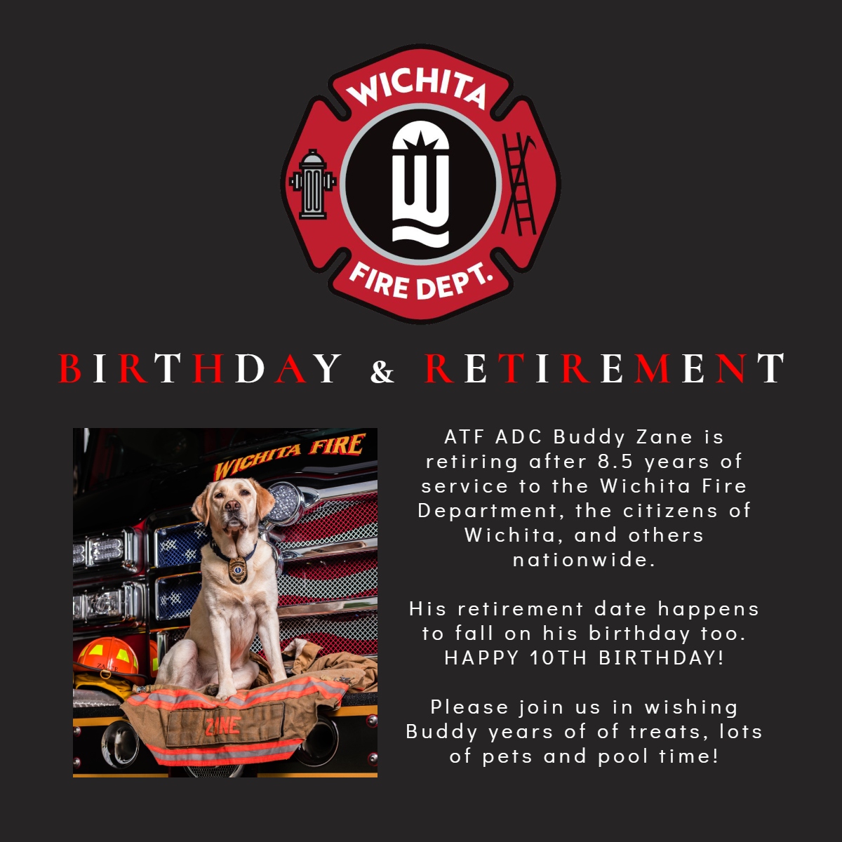 WichitaFireDept's tweet photo. Buddy, WFD's ATF Accelerant Detection Canine retired today after 8.5 years, and he is also celebrating his 10th birthday! Buddy joined the WFD when he was just 18 months old.  He was WFD's first yellow lab, and first male canine.  #wichitaFD #ICTbravest https://t.co/XKucOEB71S