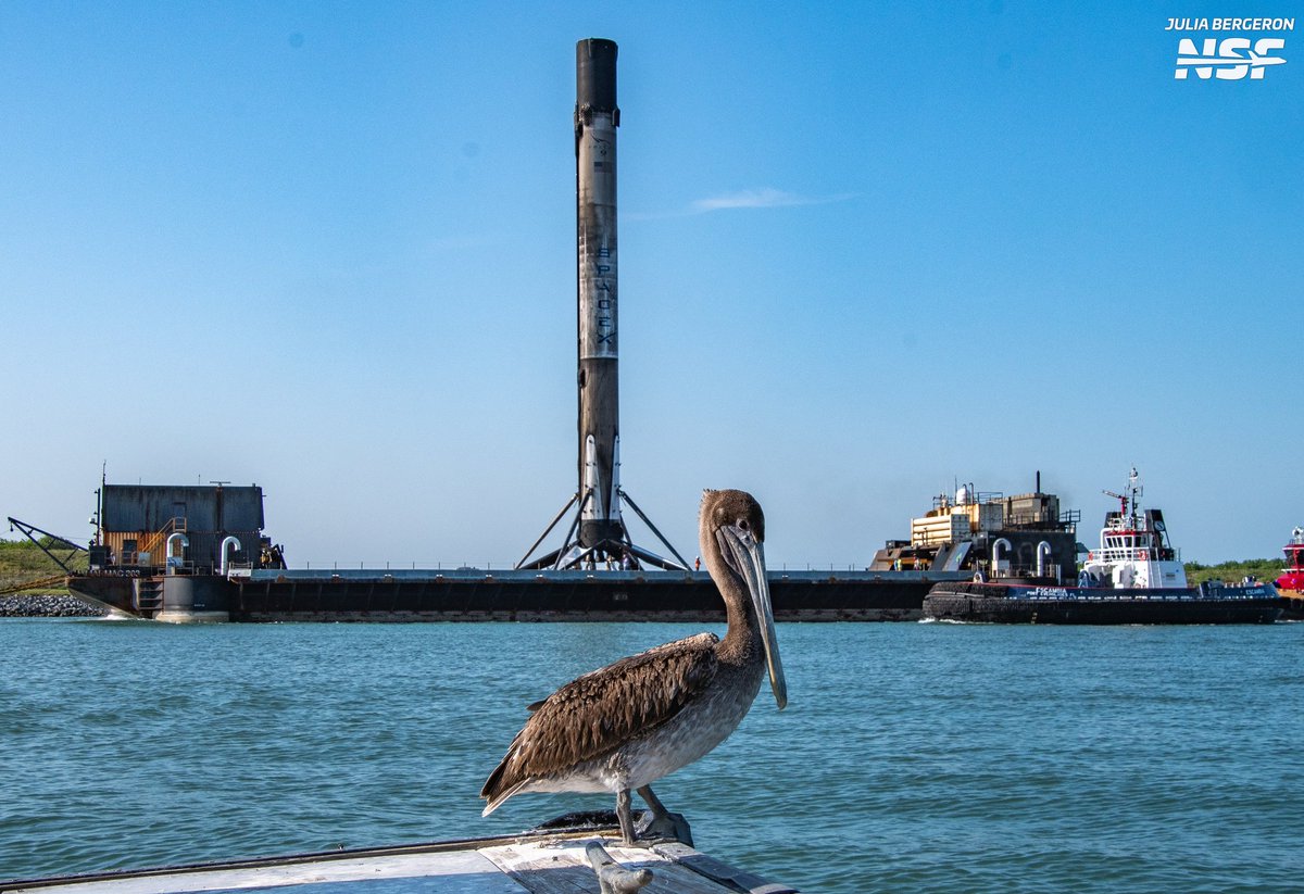 Julia Bergeron tweet media