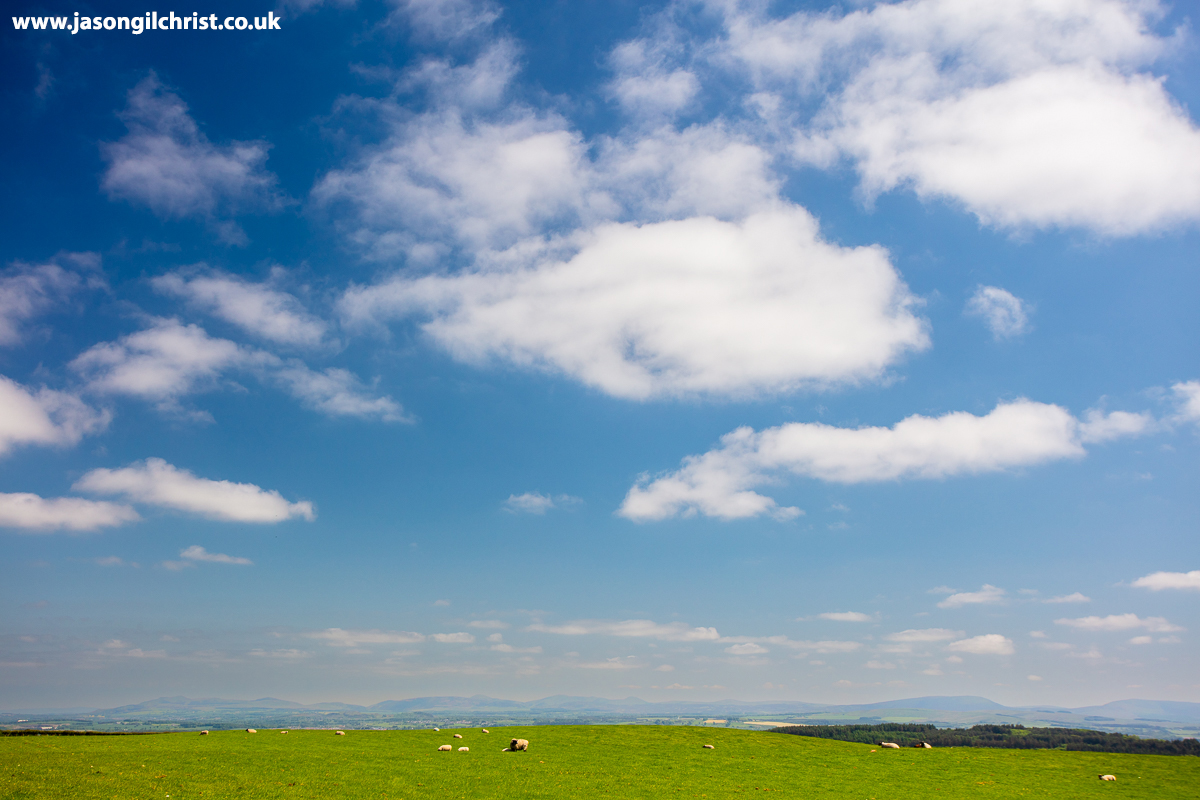 Sun. Sheep. & the Pentland Hills, on horizon, photographed from the Bathgate Hills, West Lothian, Scotland. #Pentlands #PentlandHills #landscape #StormHour #ThePhotoHour #OutdoorPhotography #Weatherwatchers #BathgateHills #WestLothian #Scotland #ScotlandIsNow #VisitWestLothian