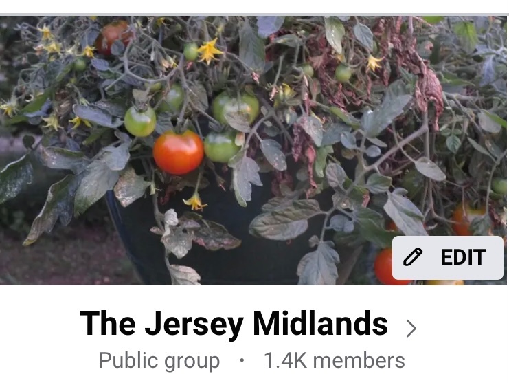 🌲 ⛄️Joe Sapia ⛄️ 🛷 tweet media