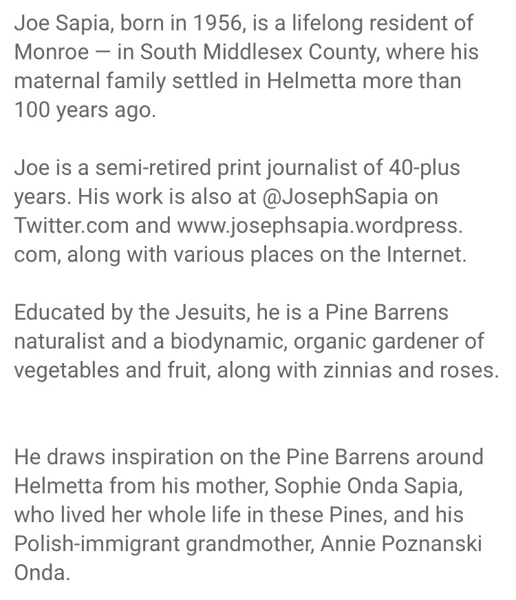 🌲 ⛄️Joe Sapia ⛄️ 🛷 tweet media