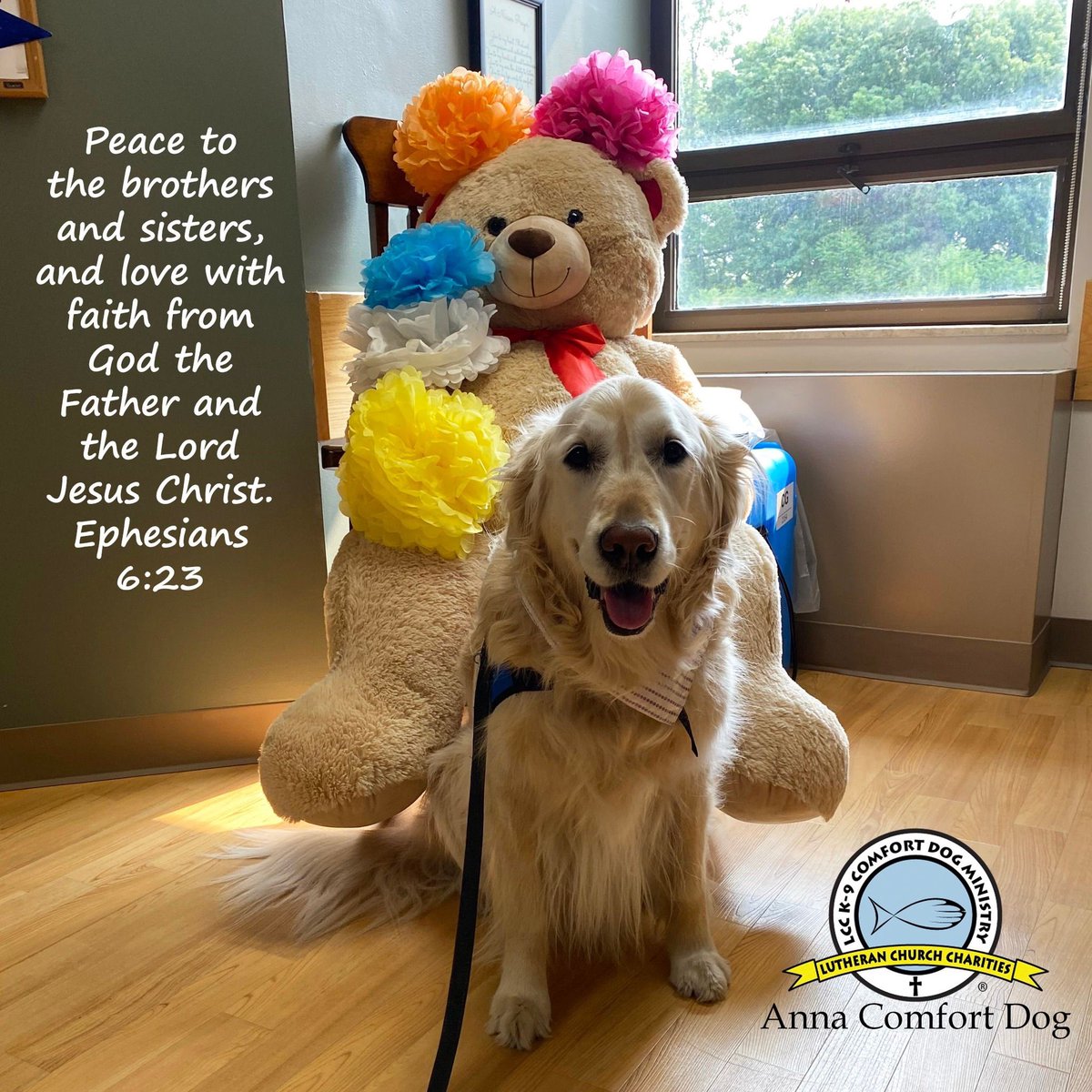 LCCK9Anna's tweet photo. May the peace of the Lord fill your heart and soul, today and every day. ✝️❤️🐾 #GodIsGood #JesusLovesYou #PeaceAndLove @K9ComfortDogs #peace #love #faith #lcck9comfortdogs https://t.co/3YgpAXjqF3