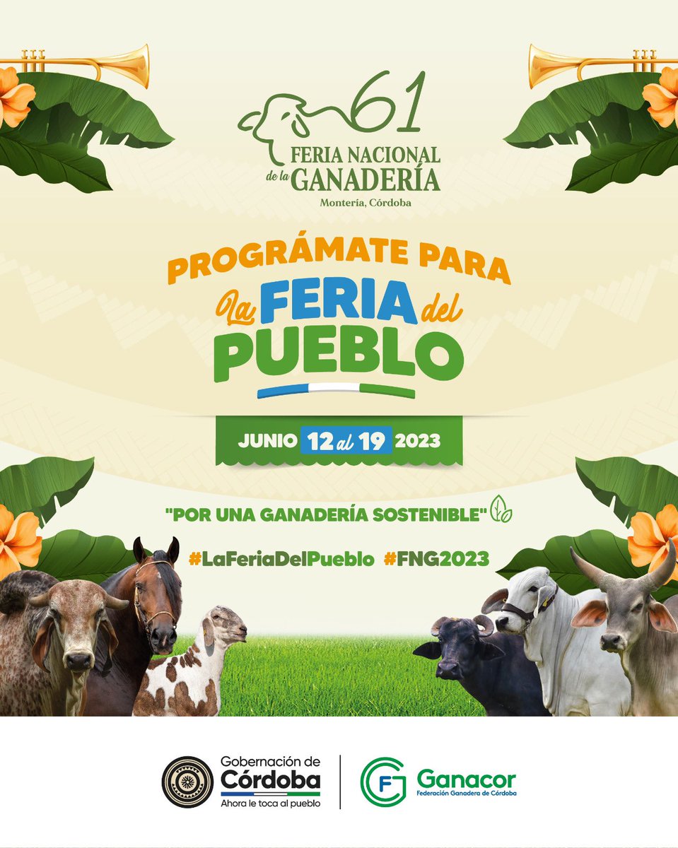 Tu PlanB Montería tweet media