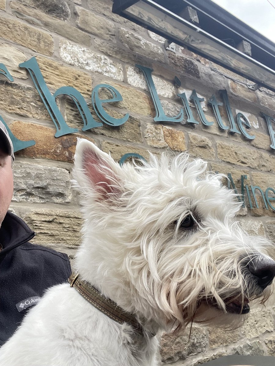 Bobby Watson RIP Busby Watson, Archie, Winston ❤️ tweet media