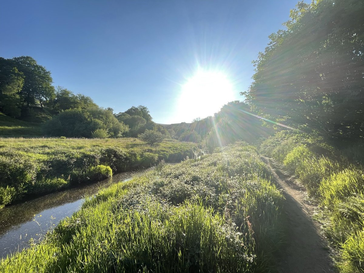 Bobby Watson RIP Busby Watson, Archie, Winston ❤️ tweet media