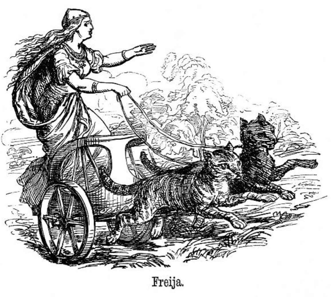 The Norse goddess Freya in her chariot pulled by cats. 1753. gettyimages.ie/detail/news-ph…