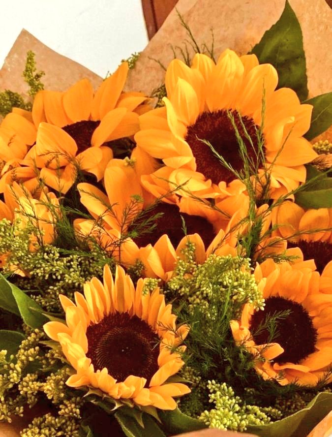 happiness w/ sunflowers 💛🌻