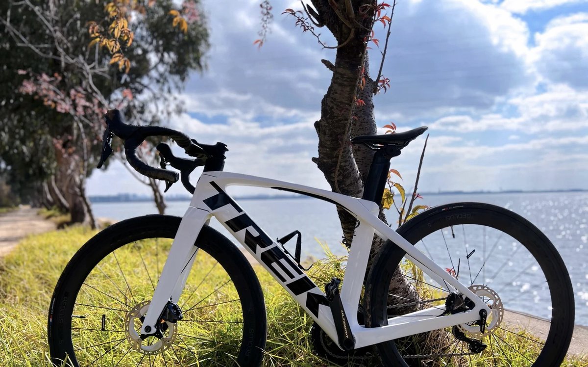 Capone734's tweet image. We want to ride to more places, encounter more scenery, and write more stories about our youth. #Ride #Trek  Tiger Taco Tuesday