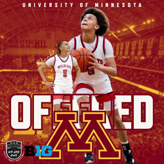Thankful for the offer to play @GopherWBB !!! I’m working so hard and this means so much. @CoachDawnP @CoachAaronHorn @Earl44Ariel