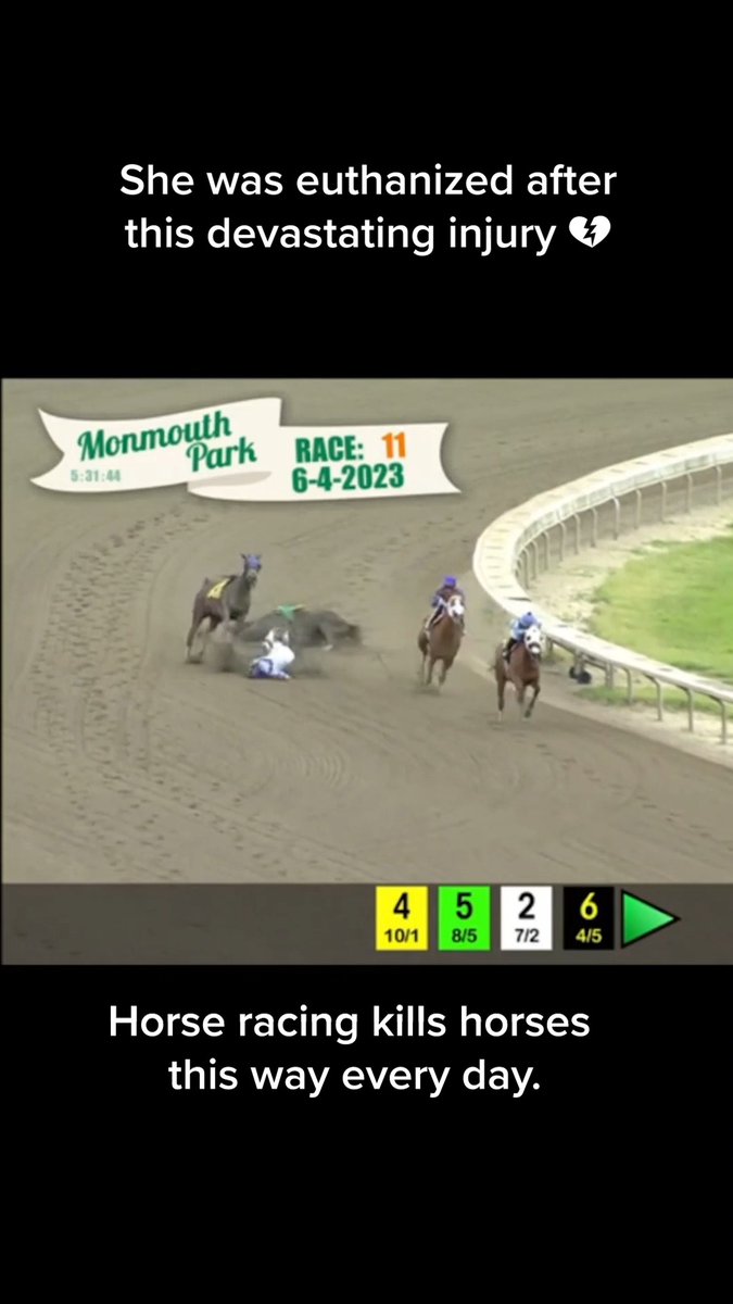 PETA on Twitter "On Sunday, Jamminjl was euthanized after a