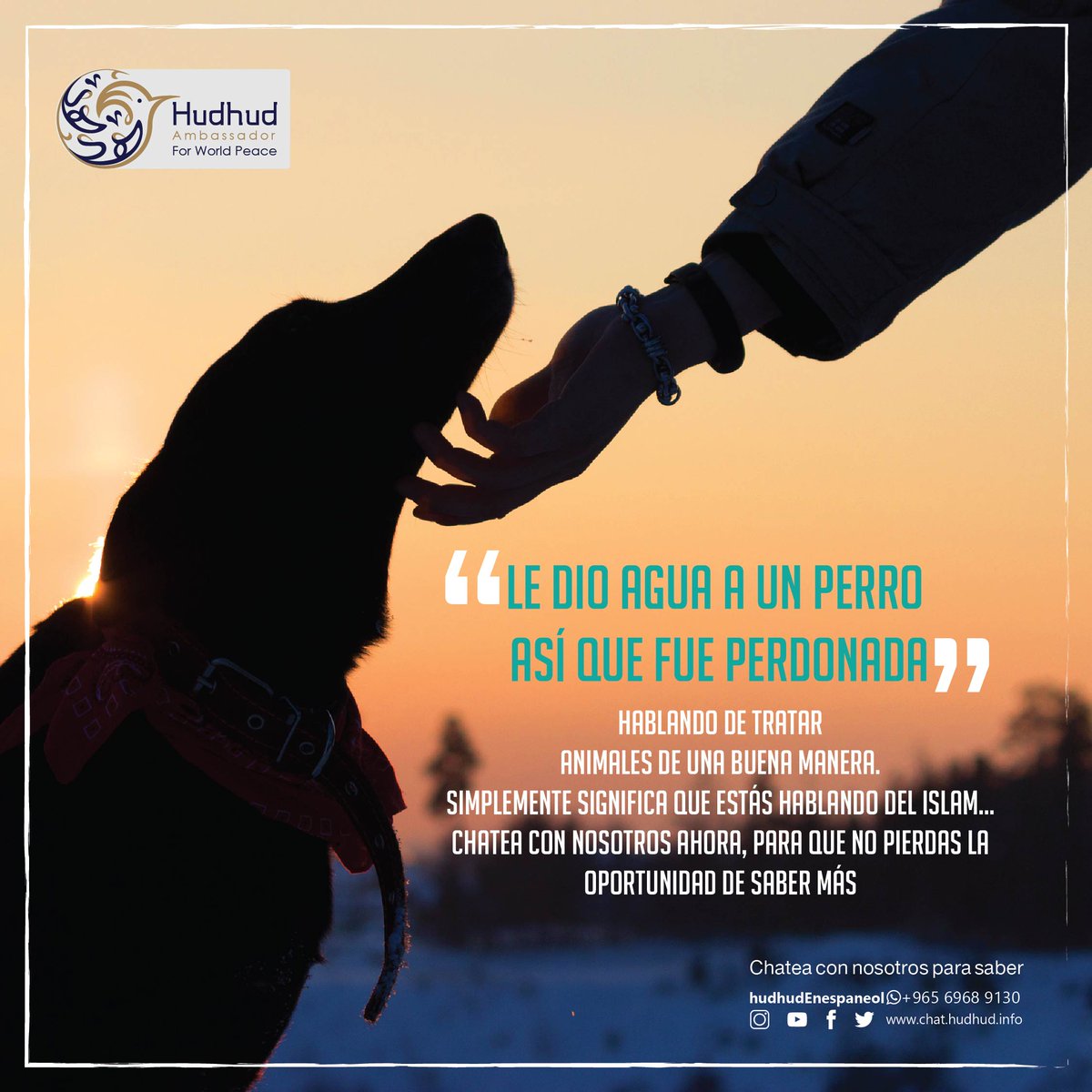 HudhudEnEspanol's tweet photo. “Le   dio agua a un perro, así que fue perdonada”.
 
    Hablando de tratar
    animales de una buena manera.
    Simplemente significa que estás hablando del Islam…
    Chatea con nosotros ahora, para que no pierdas la oportunidad de saber   más... https://t.co/OzMMcMkKRk