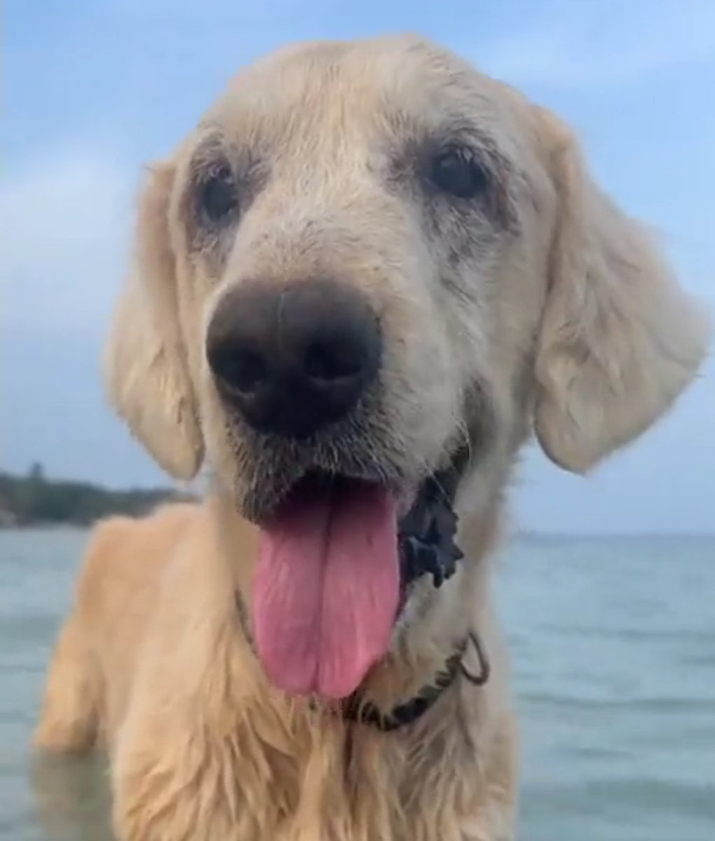 Mgauzeo's tweet image. "Big Happy Face"