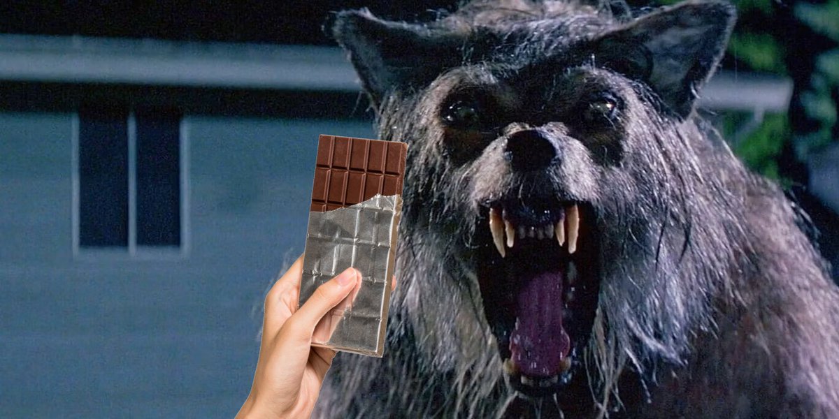 You know...Chocolate is poisonous to dogs, so theoretically couldn't I kill a werewolf by feeding it a Hershey bar?