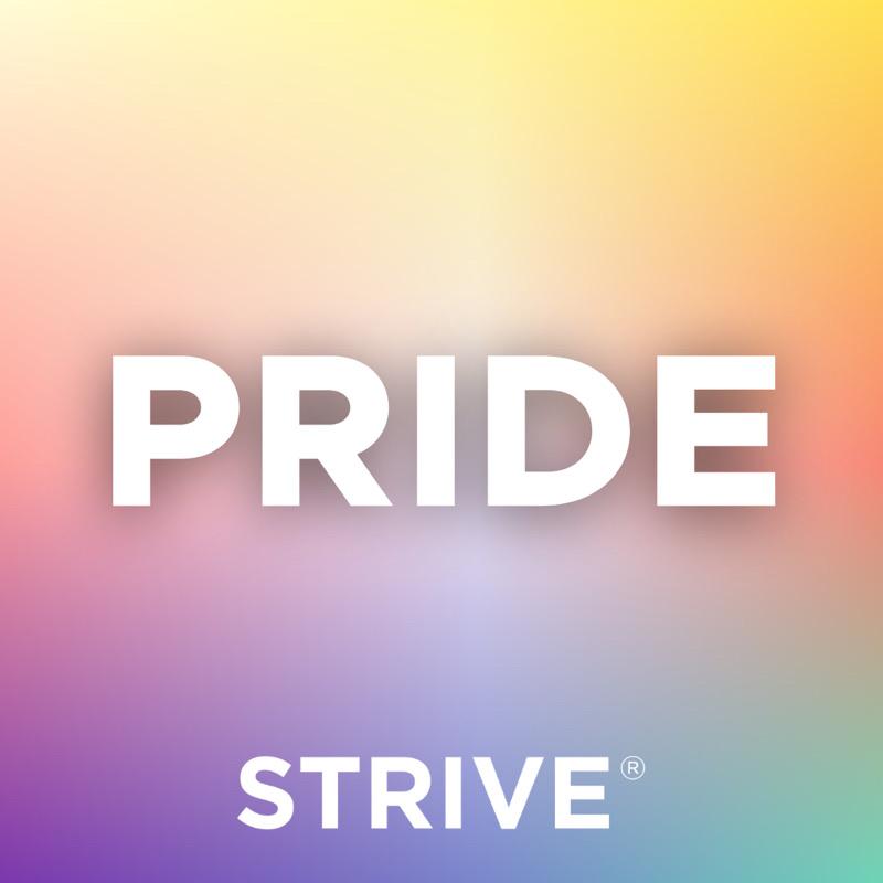 In honor of Pride Month, we affirm our commitment to supporting all people who are faced with societal barriers to mobility and empowerment in their careers and in their lives. ALL are welcome at STRIVE.
#equity #economy #inclusion #pride #work #goodjobs #careers #empowerment