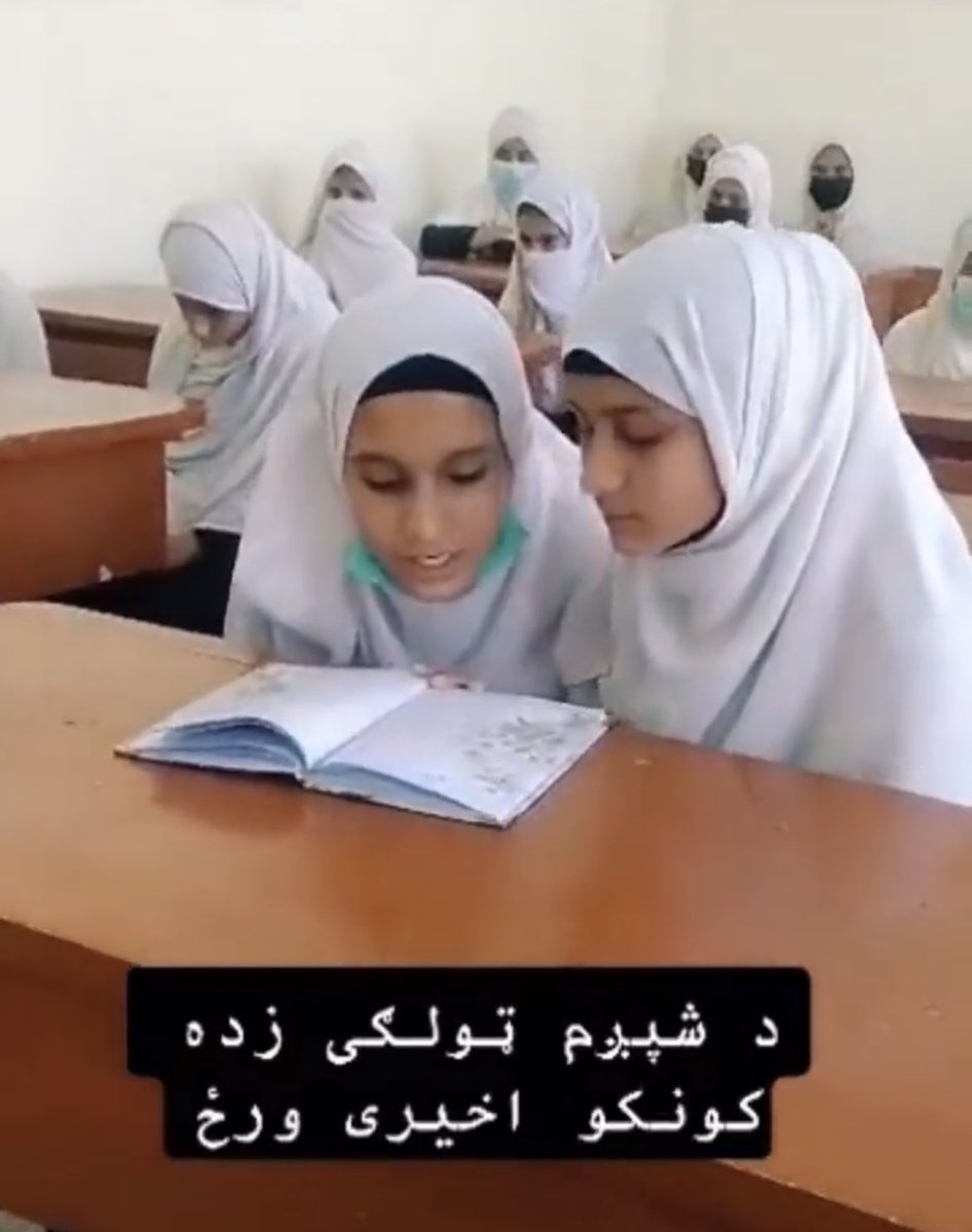 Day 625: Schools🇦🇫
Day 165: Universities 

Girls who have completed grade 6 and are moving on to grade 7 are grieving the loss of their education. Due to the Taliban's prohibition of secondary education, thousands of these girls will be forced to stay home, making them…