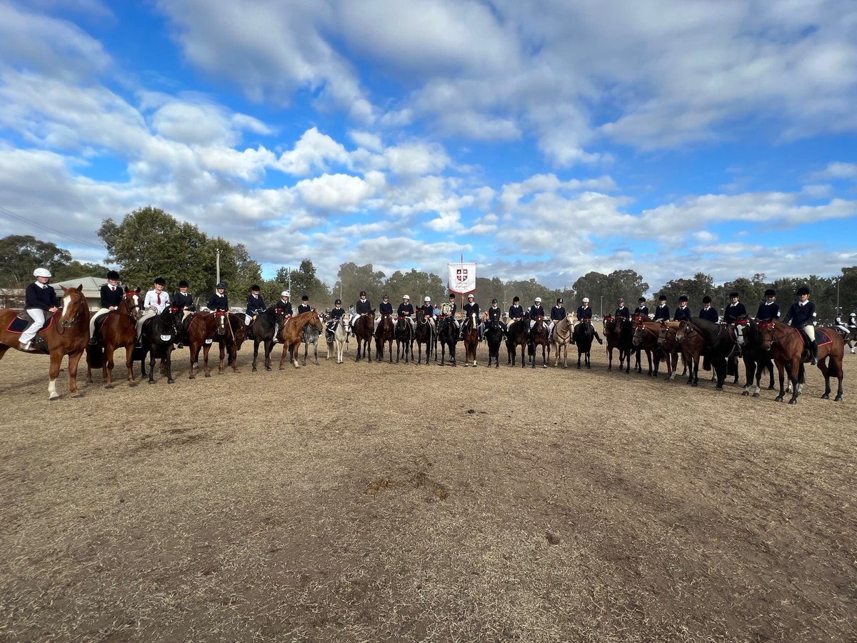 Calrossy tweet media