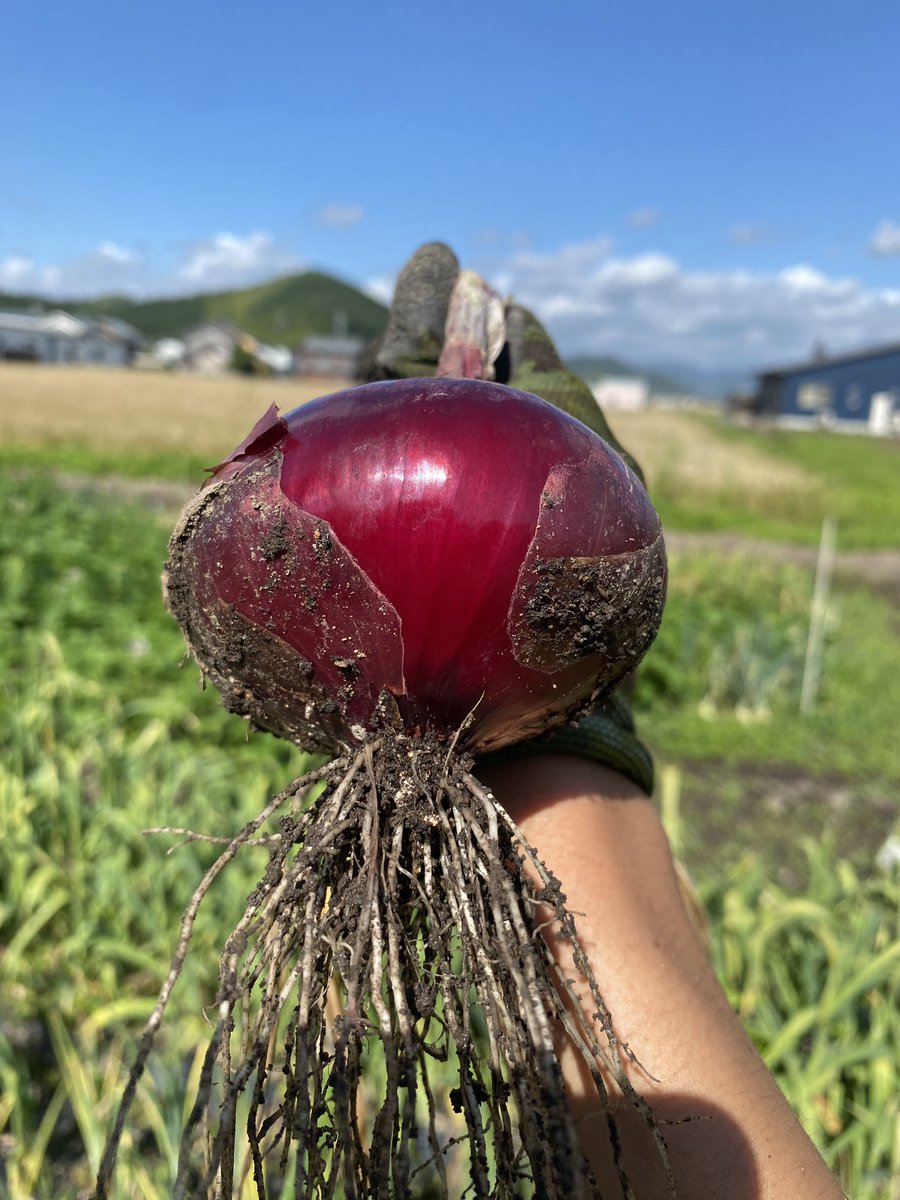 tanavege's tweet photo. 自然の色ってなんて綺麗なんやろねぇ
見てるだけで癒される😌 https://t.co/eypOYzf8iw