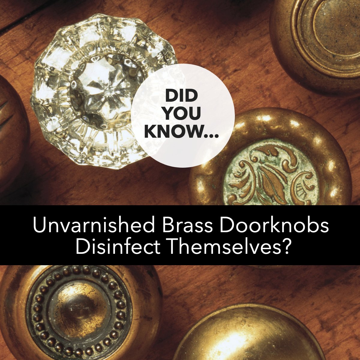 This was mind-blowing! 🤯

What's your most random yet useful tip?

#doorknobs    #brass    #hardware    #hygiene    #DYK
#YourPerfectHome #CRayBrower #SanJoaquinCounty #StocktonCA #RealEstate