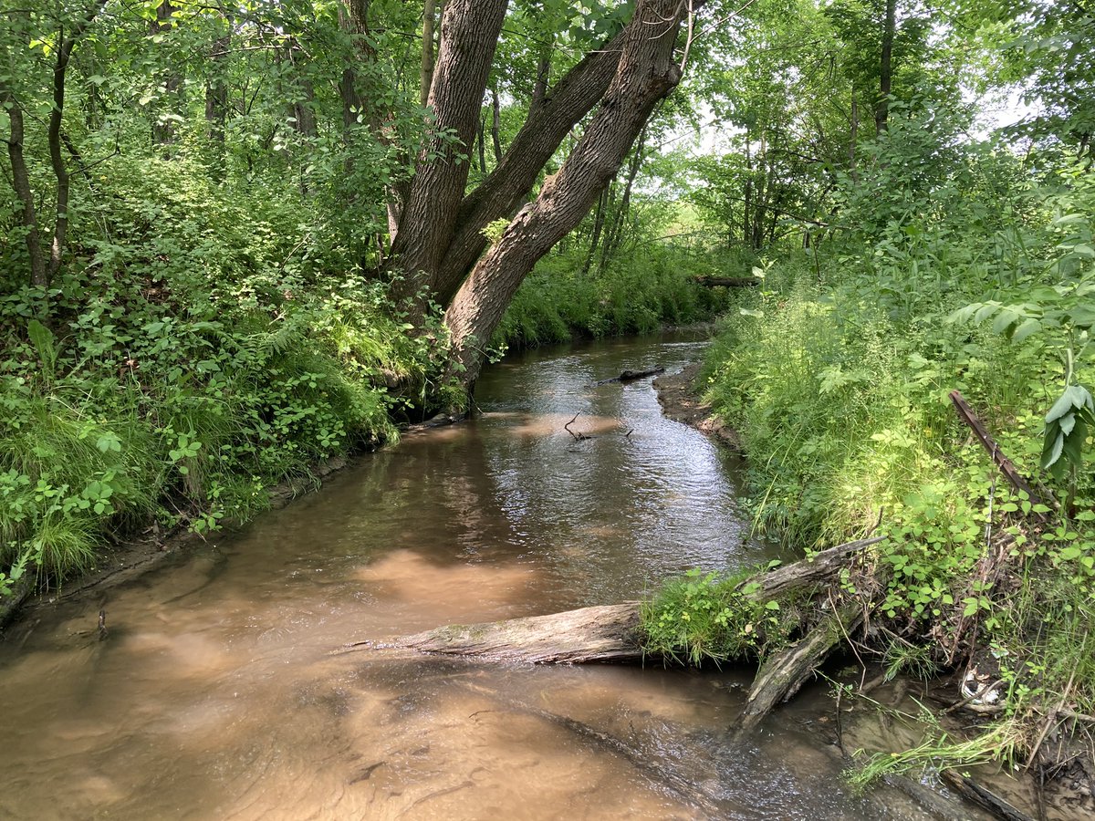 ThinkLikeA_Mtn's tweet photo. More Driftless https://t.co/0UutEtfnHP