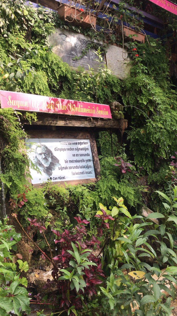 Başak🥀 (@basakyelsali) on Twitter photo 